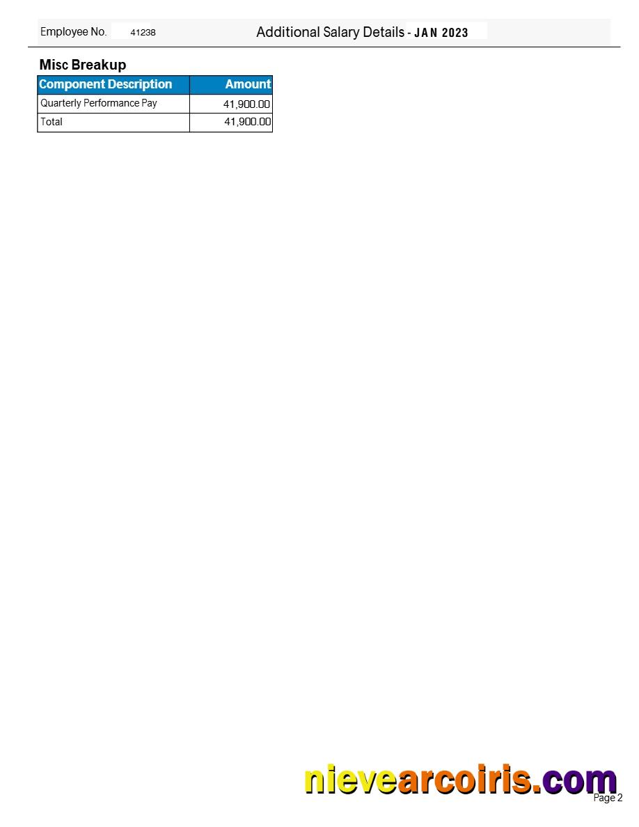 Tata Consultancy Services payslip 2